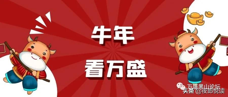 牛年看花灯,牛年看未来