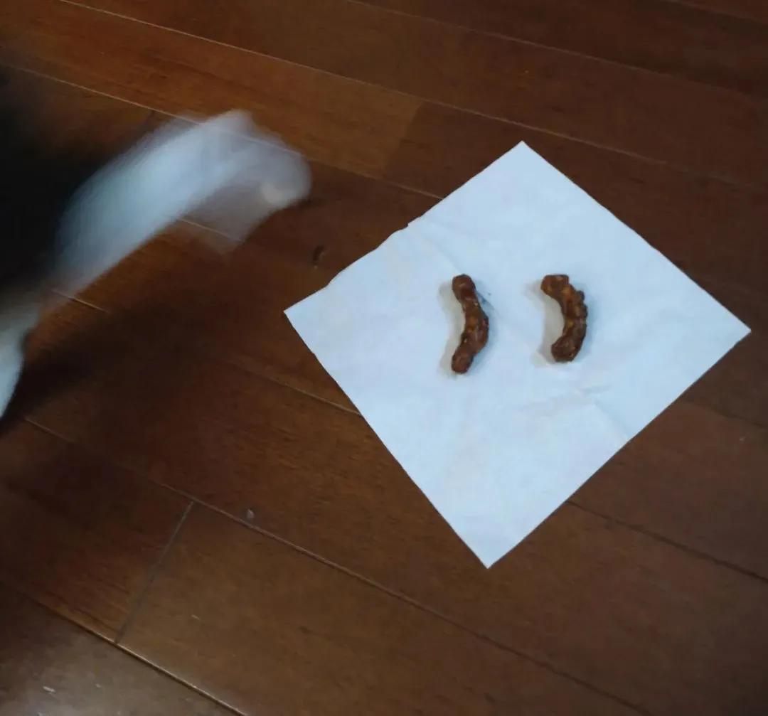 日本小哥吃零食,日本小哥吃垃圾食品