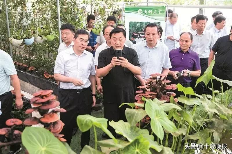 十堰第三季度项目拉练会,十堰市第一季度第二批38个项目