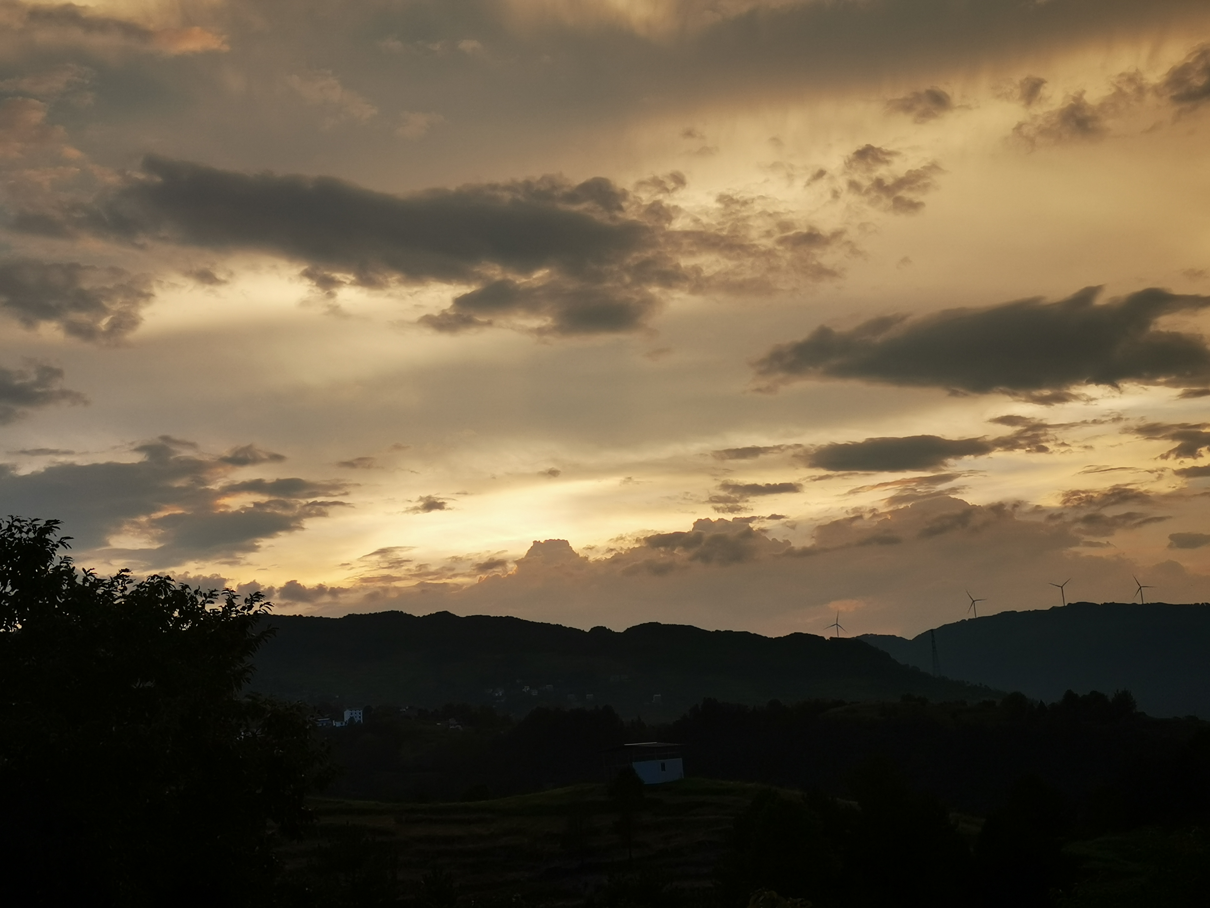 小王的日记和回忆,小王的日记100字