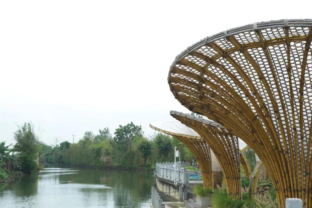 美丽乡村建设典型成功案例,10个美丽乡村规划案例