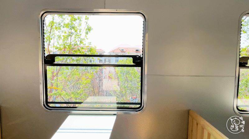 深圳樱花专列,深圳蛇口樱花列车