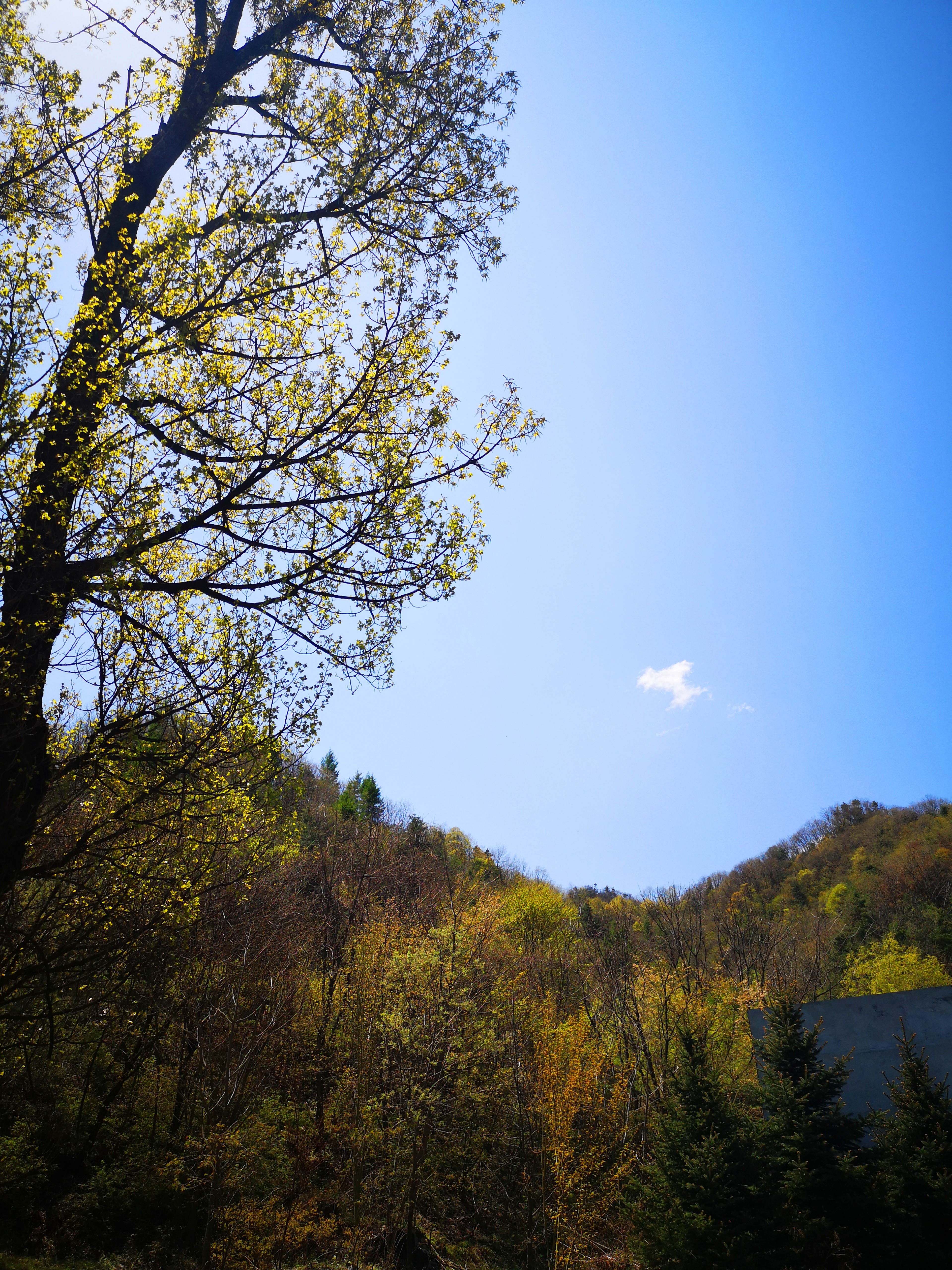 蜀道传奇在哪,蜀道传奇舞钢