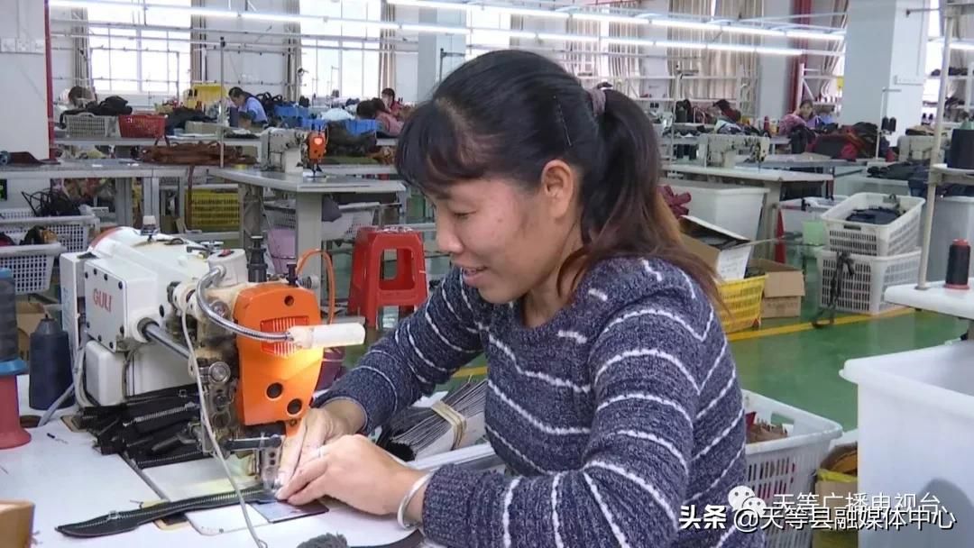 天等桥芬迪皮具有限公司：稳就业、惠民生、促发展