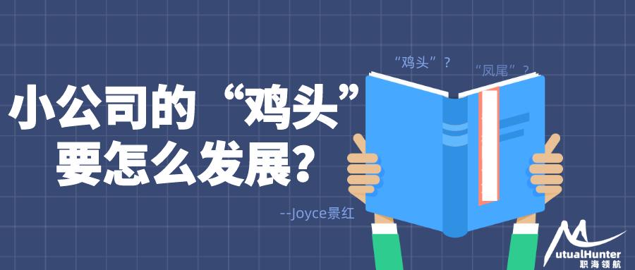 猎头公司都是小公司有发展吗,猎头该如何寻找需要合作的公司