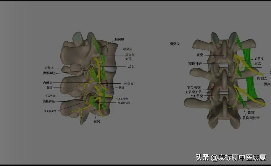 颈椎横突针刀松解术能有效果吗,针刀松解脊柱