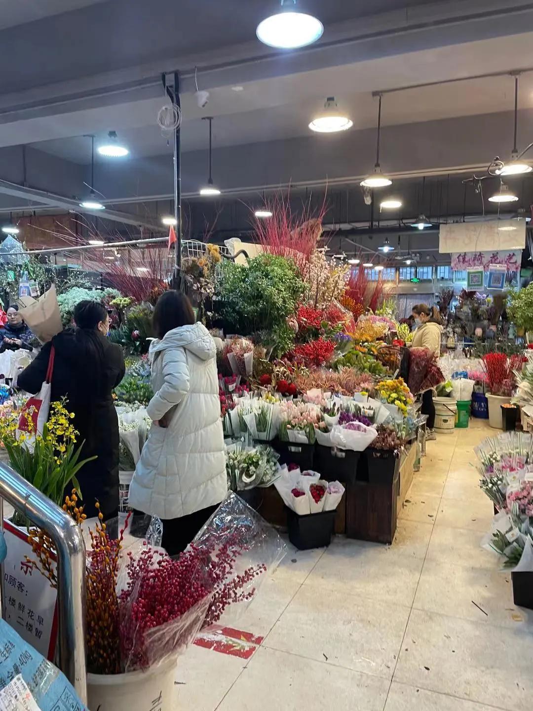 实拍青岛花卉市场！你每年都会选购哪些品种的年宵花呢？