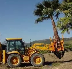 大树移植恢复要几年,大树移植根部的处理