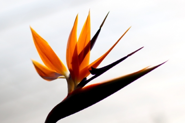 美丽的大连风景区,美丽的大连金州湾