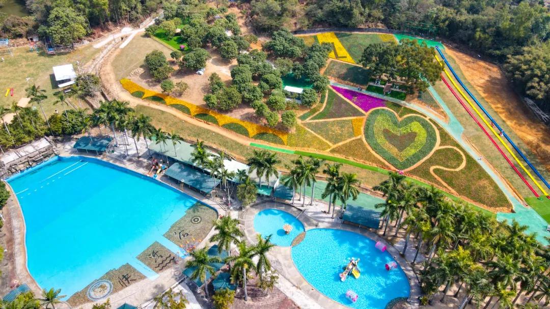 中山风景打卡点,广州秋游野餐好去处