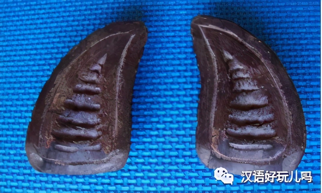 四川话会说不会写的字,会说不会写的四川话