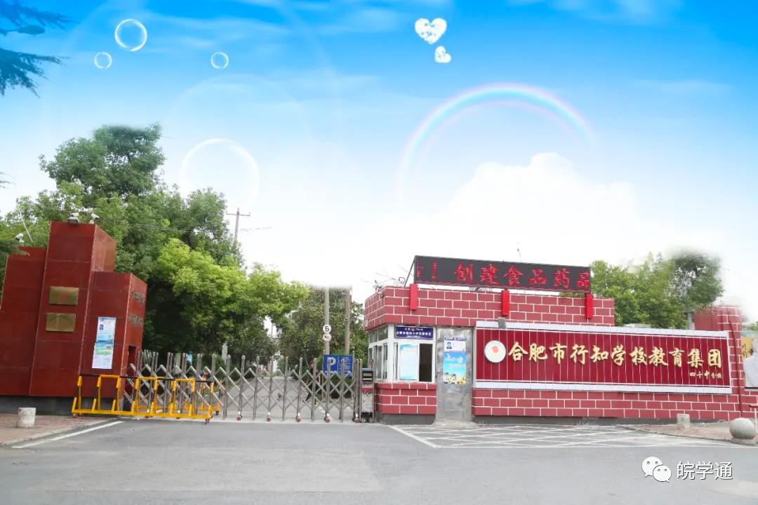 名校解读合肥行知学校,合肥38中东校区和行知学校哪个好