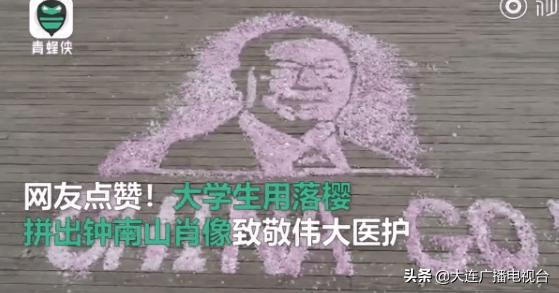 大连大学生落樱拼出钟南山肖像，现场图令人惊叹......