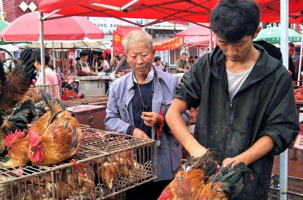 农村娶不上媳妇的光棍怎么办,农村光棍娶不上媳妇完整版