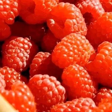 口红种草推荐文章,口红种草100种