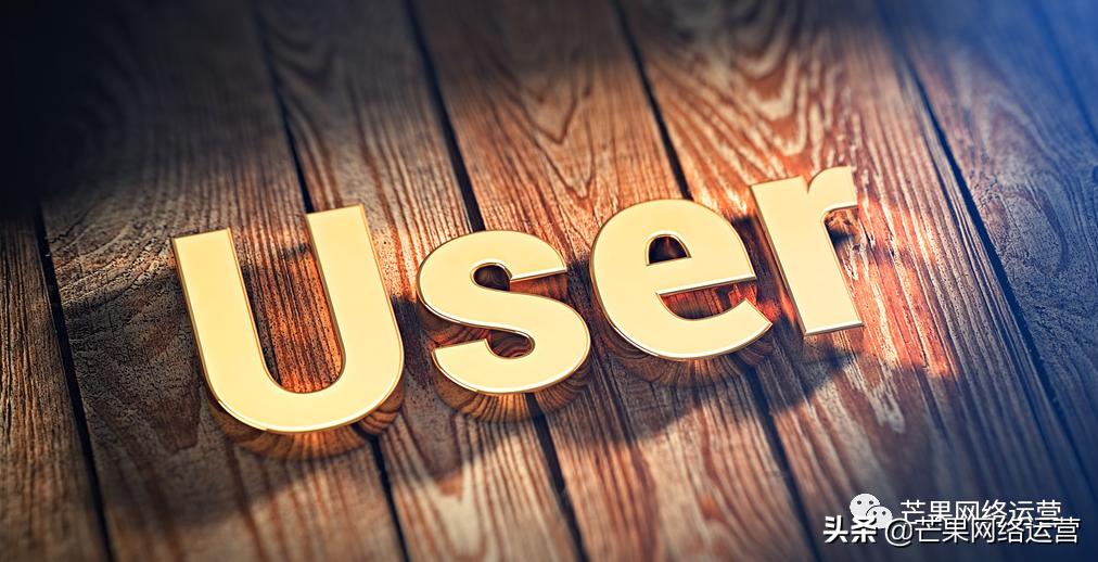 最常用的网站搜索引擎,搜索引擎网站快速收录