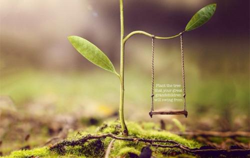 购买重疾险的十大误区,重疾险购买教程