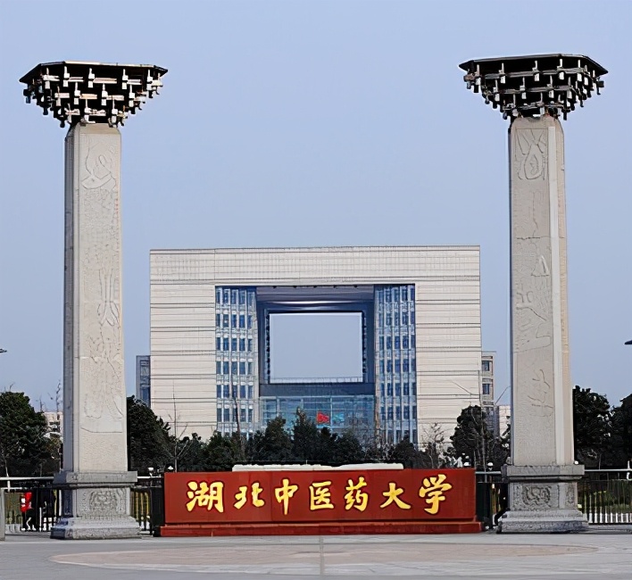 武汉成人大专院校有哪些,武汉有哪些正规成人技术学校