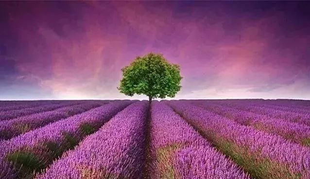 朗诵感恩有你的背景音乐,朗诵感恩有你背景视频