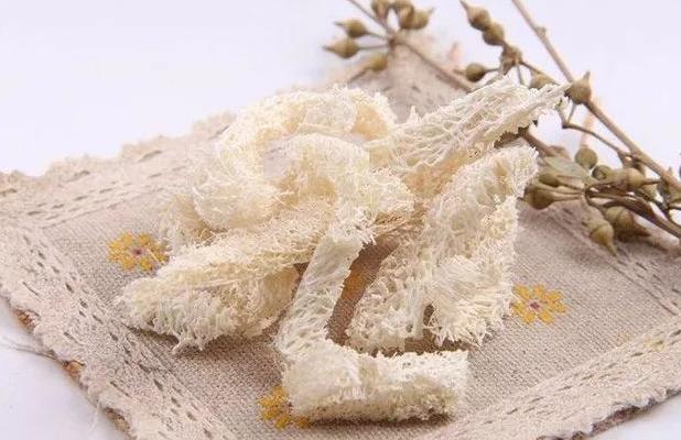 丝瓜养花,老丝瓜有什么用