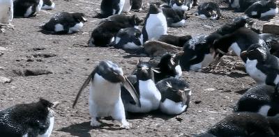 豆瓣9.8分悬疑大片,窥探电视剧豆瓣评分