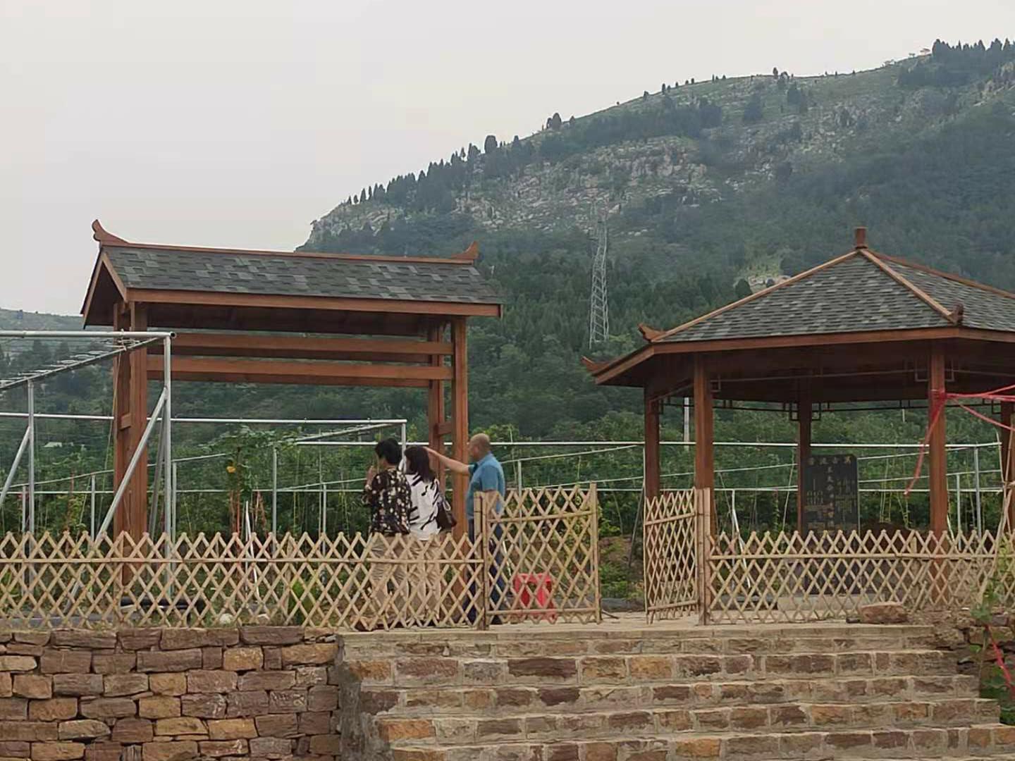 夏张镇村,夏张镇农村