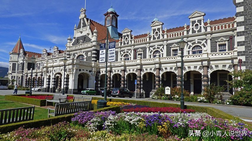 新西兰创业移民真实历程,新西兰的前景如何