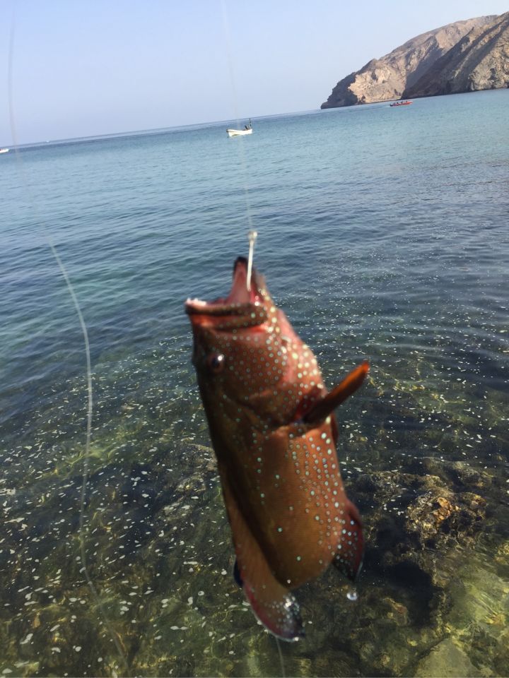 中东除了埃及还有哪个国家好玩,中东有玩的地方吗