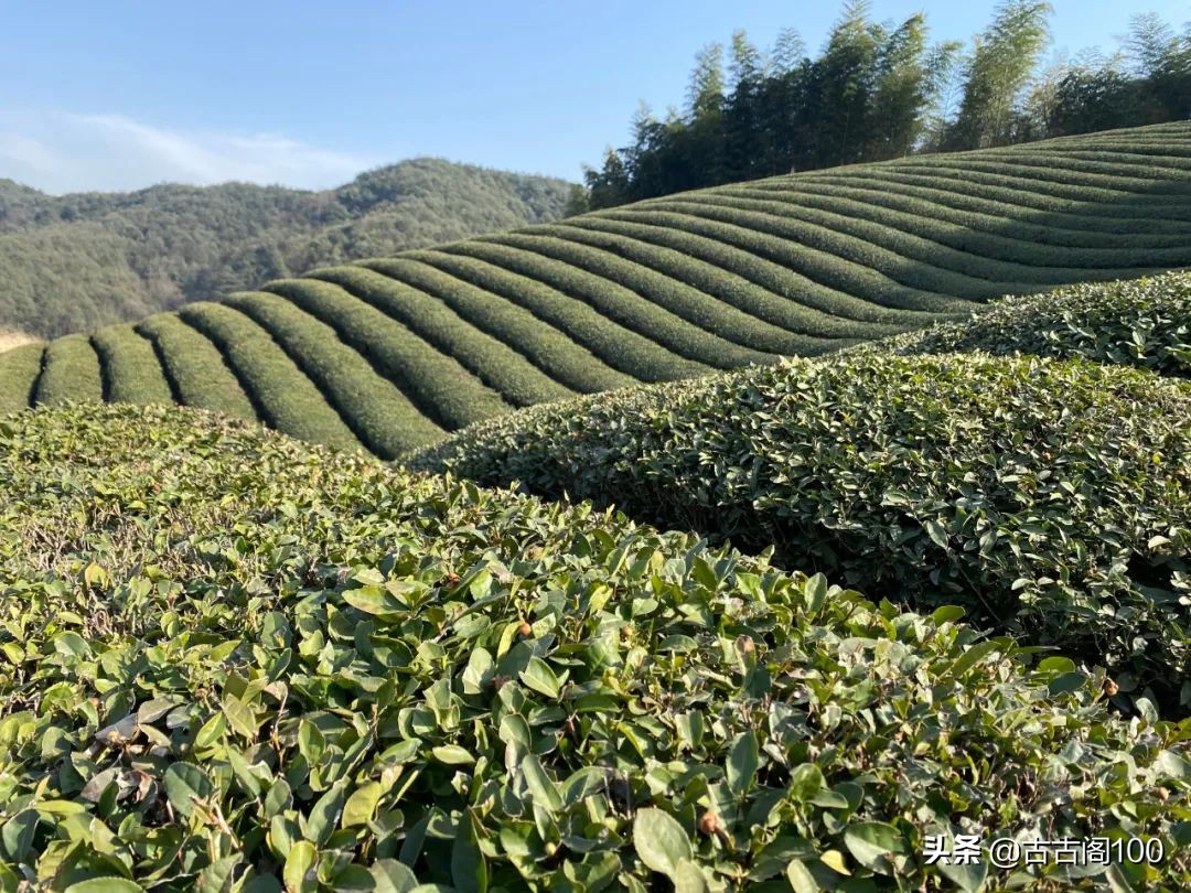 绍兴坡塘：范蠡商经发祥地 山阴道上画中游