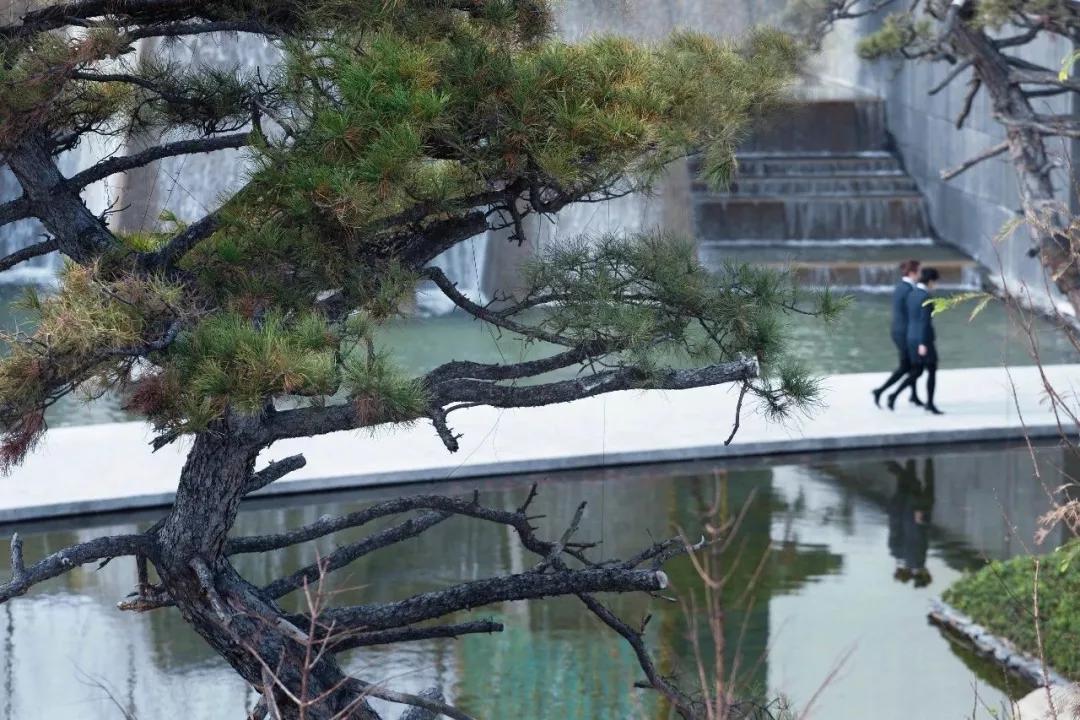 园冶杯荣誉奖,2022园冶杯地产园林奖是什么