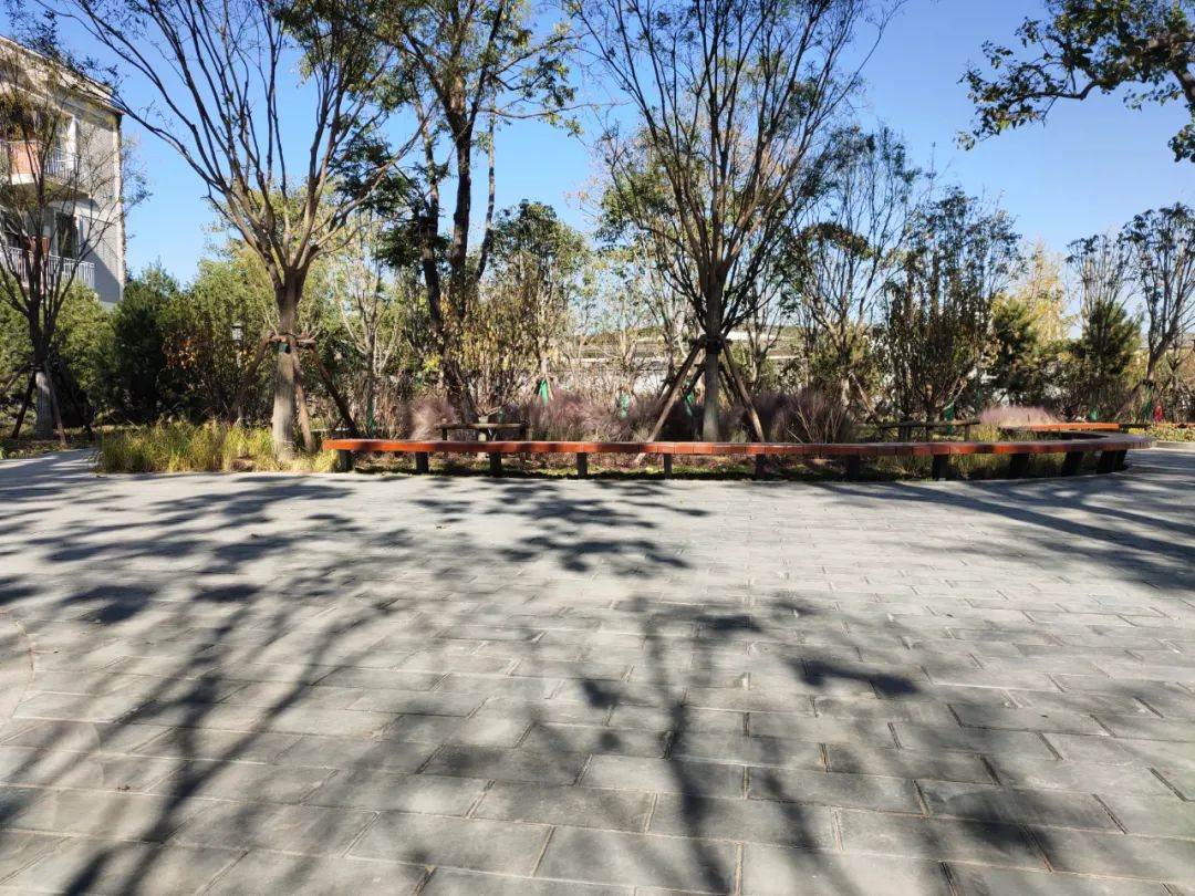 天坛公园周边,天坛旁边的公园