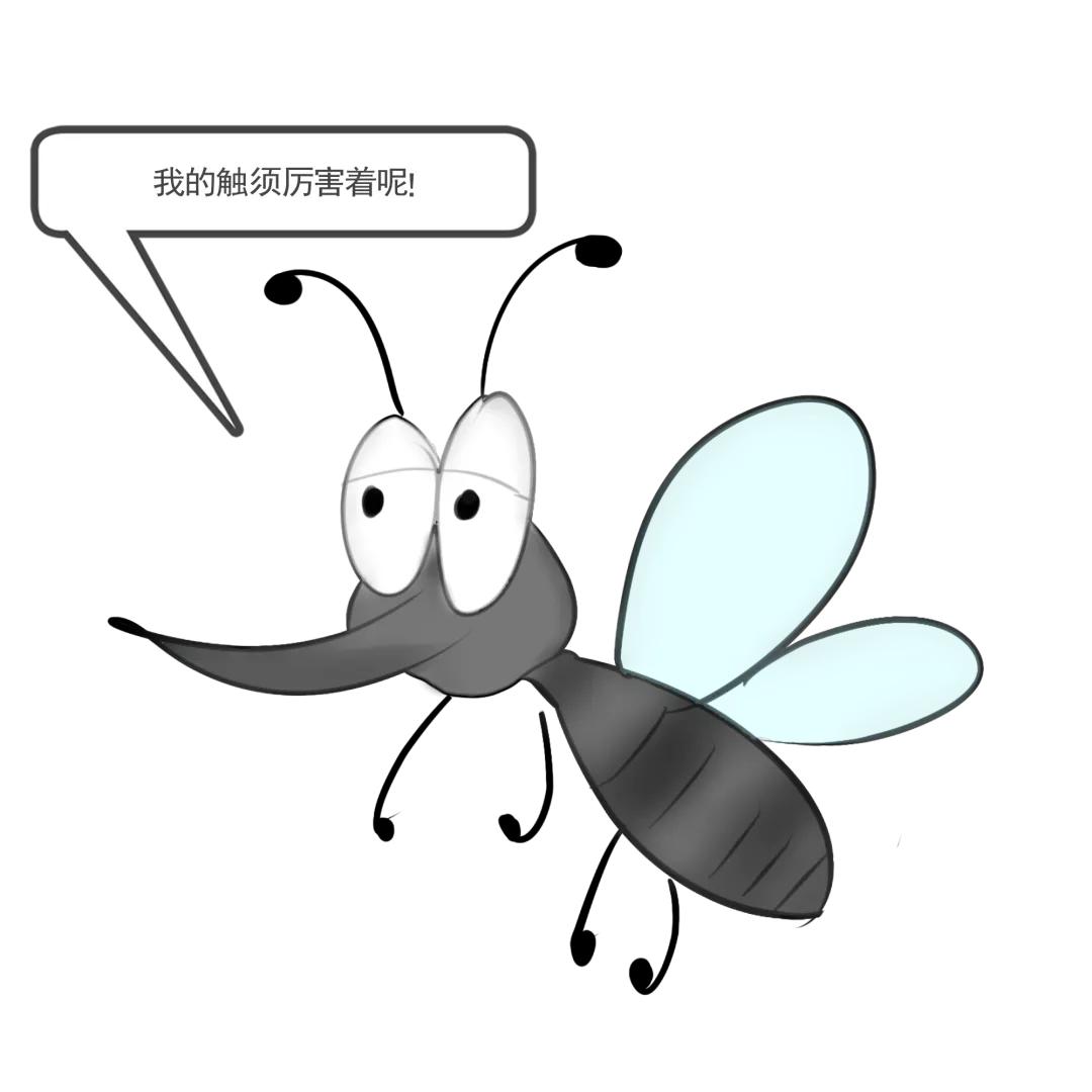 同样是被咬，为啥你的包又痒又大？