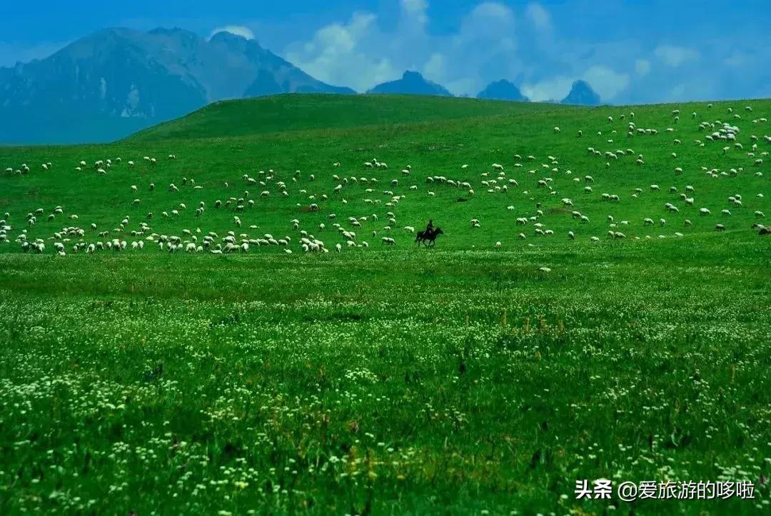 中国最美十大自驾线路,中国最美的七条自驾游路线