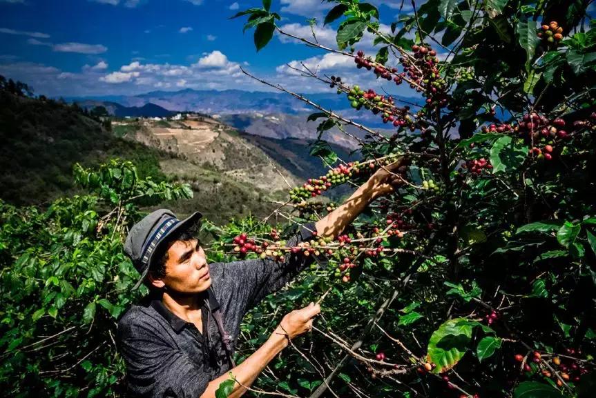 在乡土中国里拼出奇迹