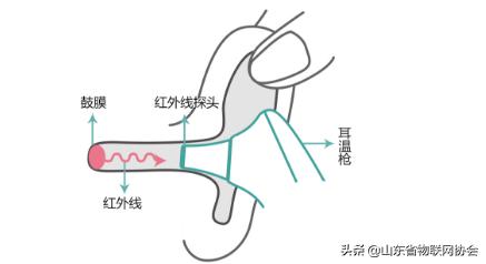 体温枪红外传感器,红外线体温枪感应器
