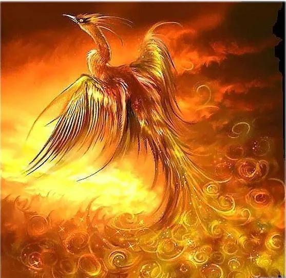 凤凰涅盘浴火重生英文怎么说,浴火重生凤凰涅槃