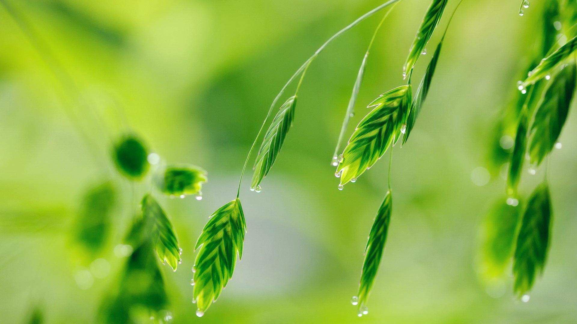 快乐王子：真正的爱情并非忘乎所以，互相成就才是道理