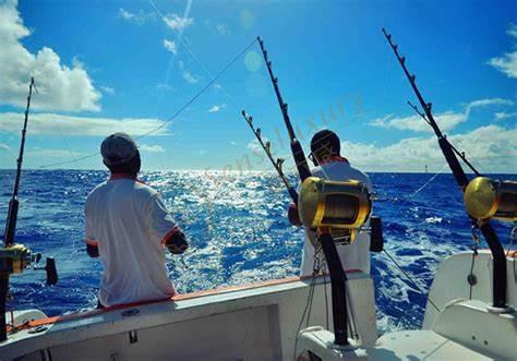 毛里求斯最全旅游攻略,毛里求斯旅游度假