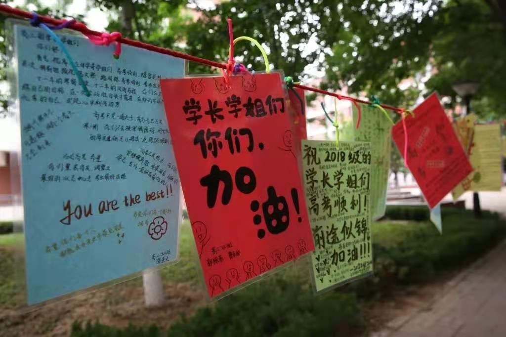 孩子做题太马虎抄错题怎么办,孩子做题总粗心资深老师在线支招