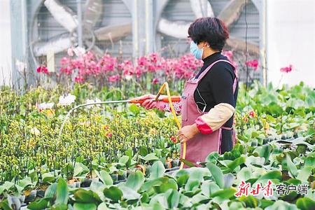 【决战决胜脱贫攻坚】书写决战脱贫攻坚的春天答卷——甘肃全力推进脱贫攻坚任务落实纪实