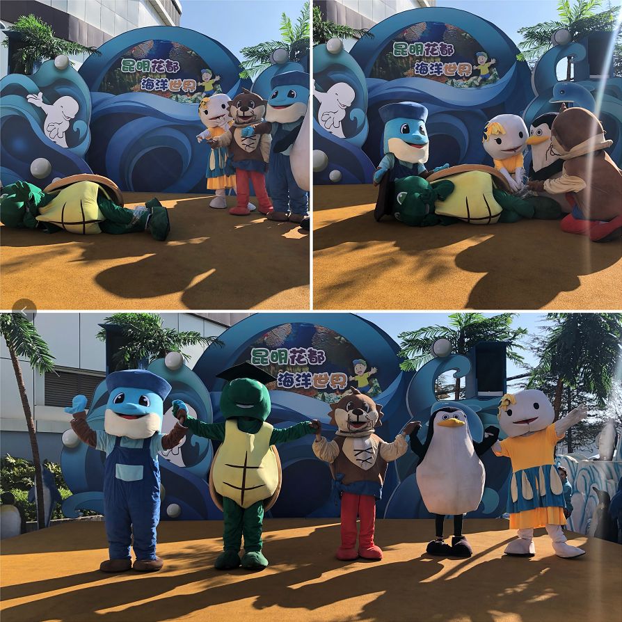 海花岛海洋乐园萌宠表演场,海花岛海洋乐园萌宠剧场