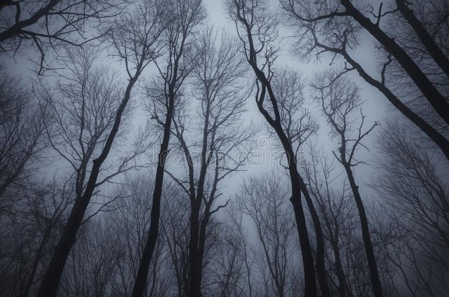 思念震耳欲聋的声音,思念的声音是无声的