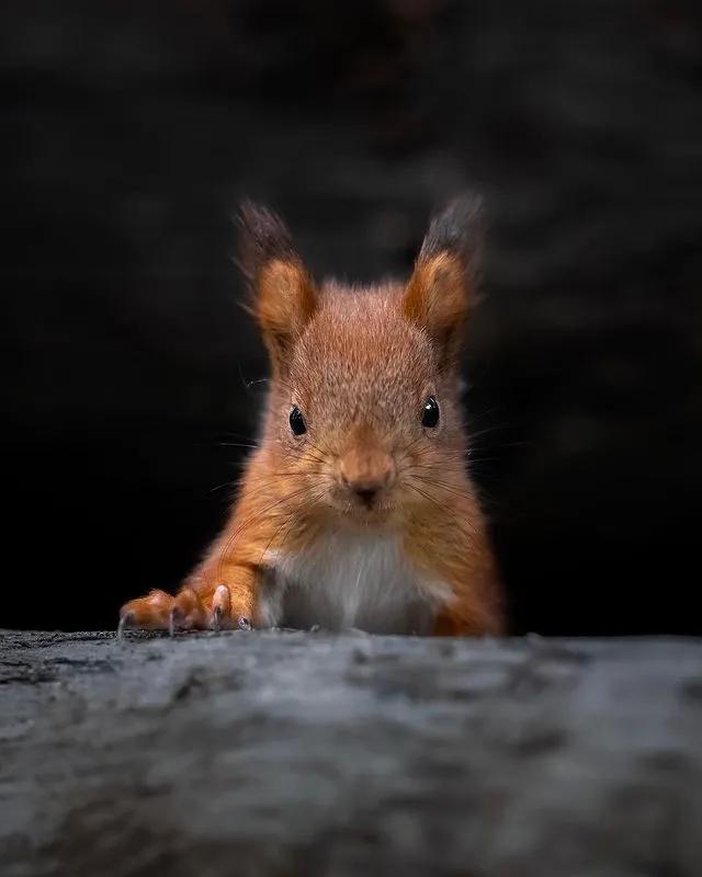 葬礼当天，她成为了四个孩子的“后妈”，网友：这是童话故事吧