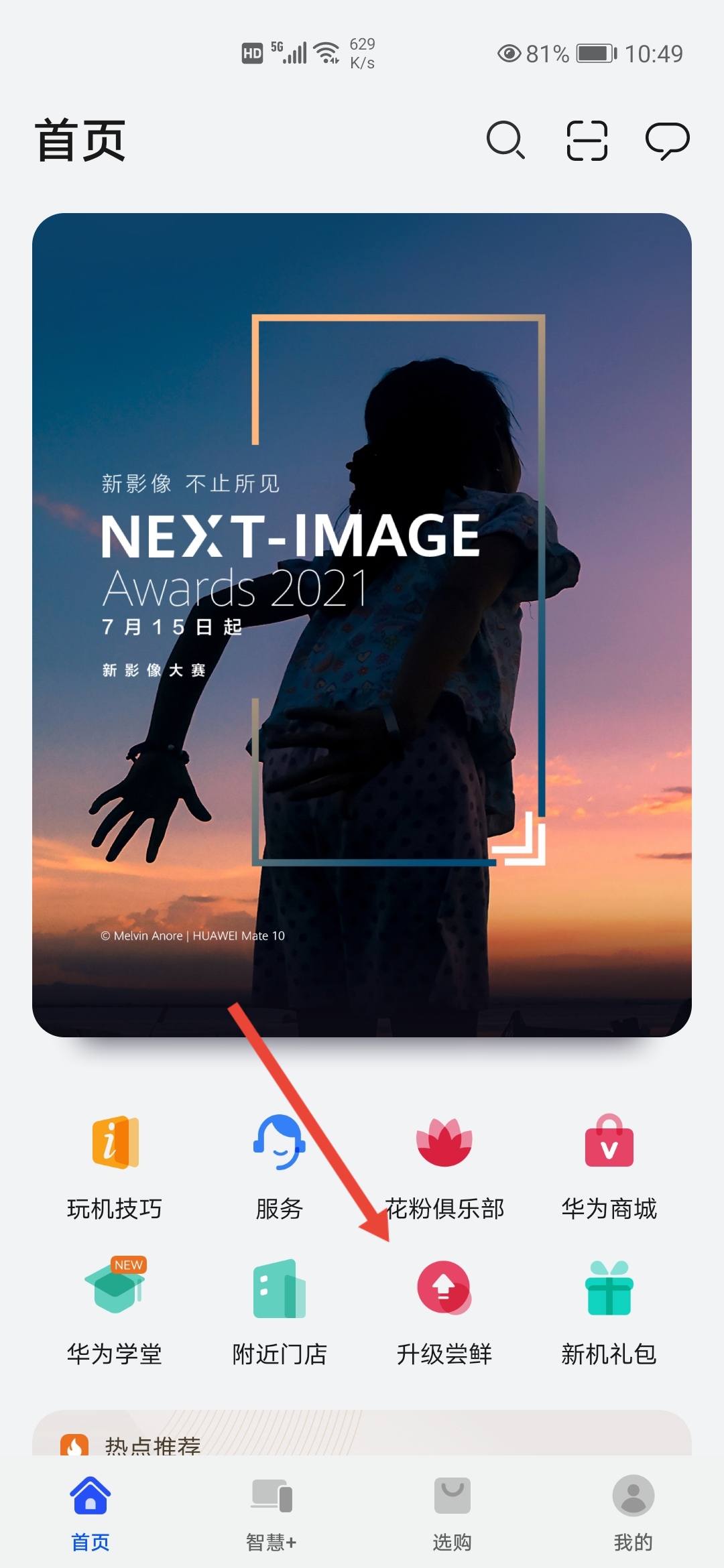 华为手机升级鸿蒙教程,华为智选手机升级鸿蒙
