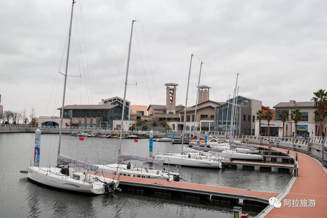 时髦！这座沿海小城居然藏着一波小众新玩法！|“...