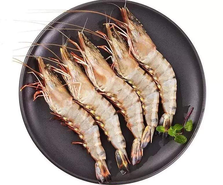 新西兰本地展会信息,新西兰2023展会