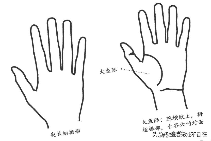 五指对应的五脏的位置,五只手指代表五脏哪个部位