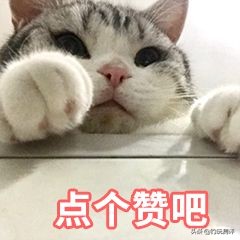 好的钓鱼竿推荐海龙王,海龙王3260纪录版鱼竿算冷门竿嘛