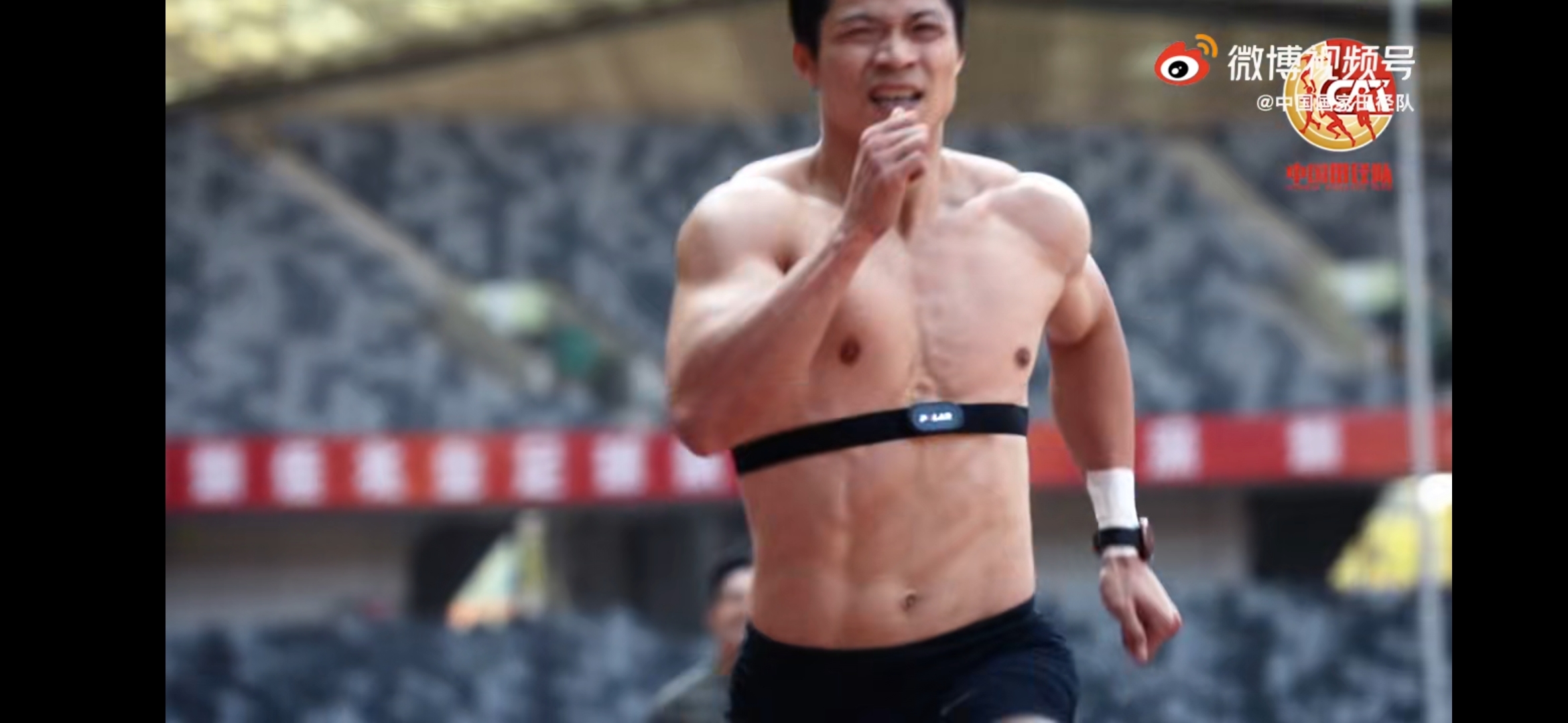 polarvantagem2娴嬭瘎,polarvantagev2