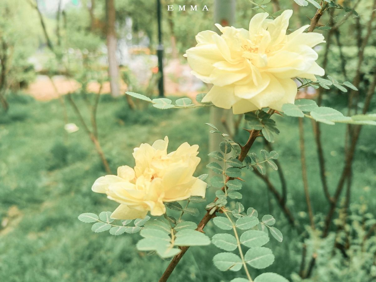 看似大大咧咧其实内心很脆弱,看似天真却心里城府很深的星座